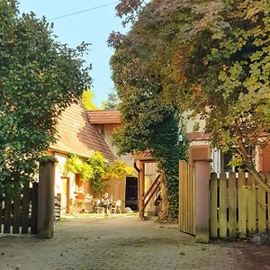 Ferienwohnungen Auf Einem Ehemaligen Bauernhof Neuhausen  Exterior photo