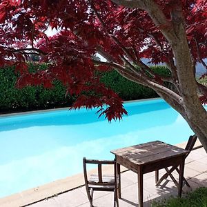 Chambre D'Hote Dans Mas Proche Anduze Cevennes Avec Piscine Bed & Breakfast Mialet  Exterior photo