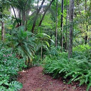 Rainforest Retreat-Fireplace-Bbq-3 Acres- Villa Nambour Exterior photo