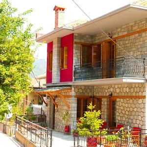 Oresivio Apartment Metsovo Exterior photo