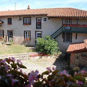 Chez Jacotte Et Elia Bed & Breakfast Saint Galmier Exterior photo