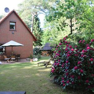 Ferienhaus Am Waldesrand Villa Hatten Exterior photo