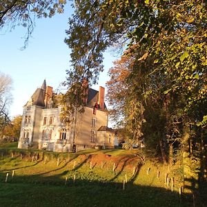 Le Chateau Du Grand Coudray Bed & Breakfast Villaines-la-Juhel Exterior photo