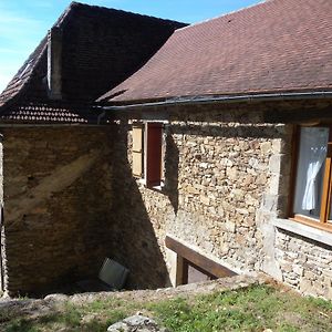 La Picane Villa Gagnac-sur-Cere Exterior photo