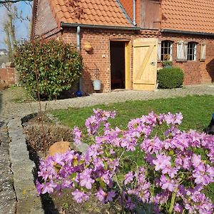 Ferienhaus Voern-Diek Apartment Hohnstorf Exterior photo