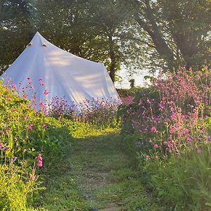 Foxglove Field Glamping Hotel Perranuthnoe Exterior photo