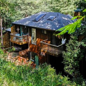 Woodland Retreat Apartment Mill Valley Exterior photo