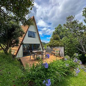 Pohutukawa Coastal Chalets Coromandel Room photo