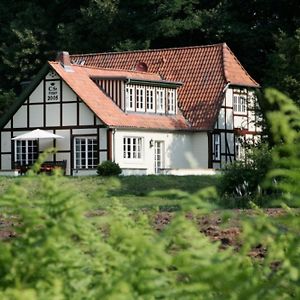 Alte Schaferei - Schaferstube Apartment Luedersburg Exterior photo