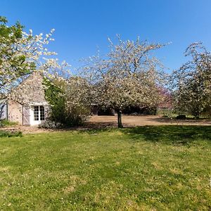 Charmante Maison De Campagne Pres Des Vignes Avec Wifi, Bbq Et Proche D'Angers Et Saumur - Fr-1-622-68 Villa Coutures  Exterior photo