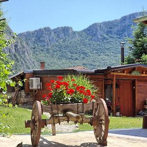 Konak Ramonda Serbika Guest House Nis Exterior photo