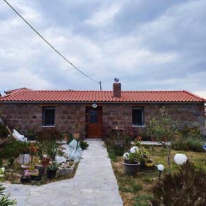 Owls Nest Limnos House - Pet Friendly, Close To The Beach Apartment Moudhros Exterior photo