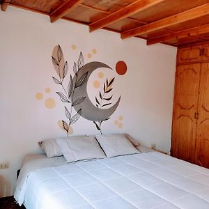 Casa Tribu Apartment Huaraz  Room photo