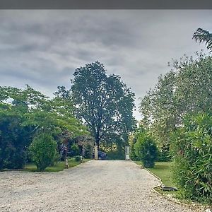 Villa Lisle-sur-Tarn Exterior photo