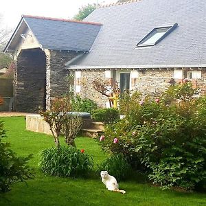 Entre Loire Et Vignes Villa Juigne-sur-Loire Exterior photo