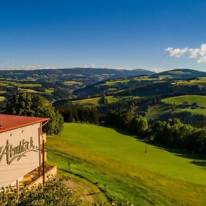 Der Almblick Hotel Strallegg Exterior photo