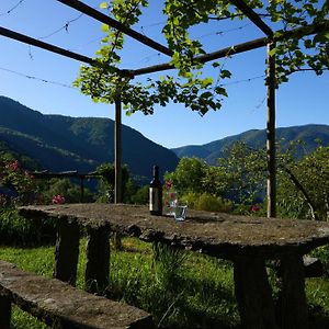 Wild Valley Garden Paradise In Valle Onsernone Apartment Auressio Exterior photo