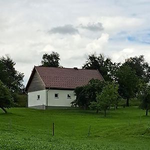 Haus Waldblick Villa Esternberg Exterior photo