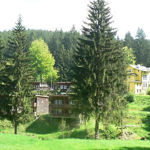 Ferienhaus Fuer 6 Personen Ca 96 M In Grossbreitenbach, Thueringen Thueringer Wald Villa Exterior photo