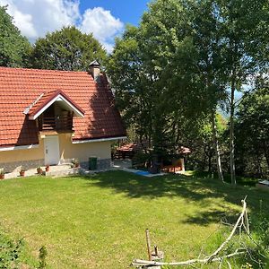 Mountain Vila In Ponikva Villa Kocani Exterior photo