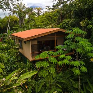 Corcovado Renting-Houses-Villas-Glamping-Privacy-Nature Puerto Jimenez Exterior photo