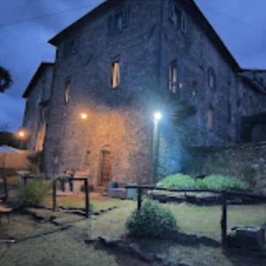 La Dolce Vita Apartment San Romano in Garfagnana Exterior photo