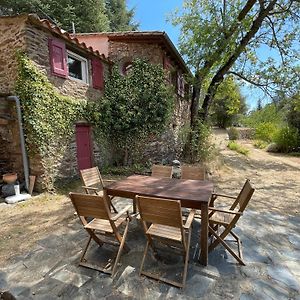 La Bellevue Villa Valleraugue Exterior photo