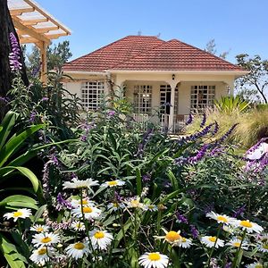 Allamanda House Meru Bed & Breakfast Arusha Exterior photo