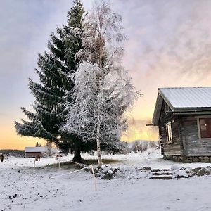 Log Cabin From 1820S With Wood-Heated Sauna Villa Hassela Exterior photo