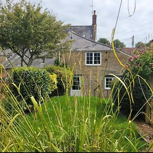 Half Pint Cottage Beaminster Exterior photo