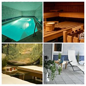 Pool & Sauna Wellness Charming Swiss Style Chalet! Apartment Salouf Exterior photo