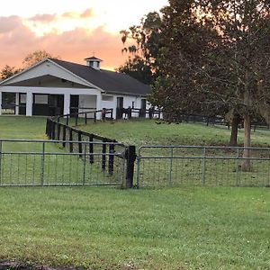 Cozy One Bedroom Barn Apartment Ocala Exterior photo