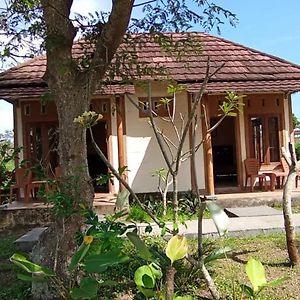 Nest Guesthouse Tetebatu Exterior photo