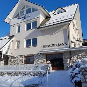 Pension Jana Hotel Jilemnice Exterior photo