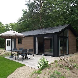 Modern Chalet Near Three National Parks Villa Ruinen Exterior photo