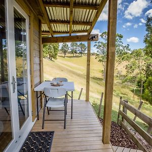 Private Cabin Close To The City Centre Bed & Breakfast Whangarei Exterior photo