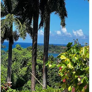 Angelaspalace Hotel Port Antonio Exterior photo