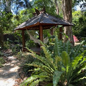 Shambhala Apartment Dangar Island Exterior photo