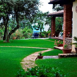 Maratea Garden House Bed & Breakfast Exterior photo