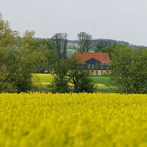 Landhaus Heidekrug Hotel Hildesheim Exterior photo