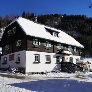 Der Perweinhof Apartment Donnersbachwald Exterior photo