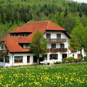 Rhon-Hotel Sonnenhof - Restaurant & Cafe Poppenhausen Exterior photo