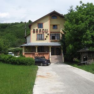 Pensiunea BRADU Hotel Piatra Neamt Exterior photo