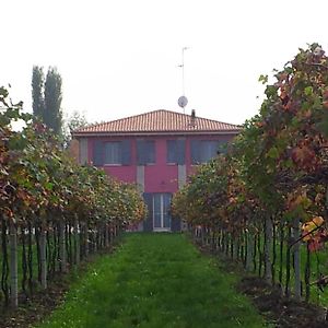 Agriturismo Fondo Gesu Villa Sala Bolognese Exterior photo