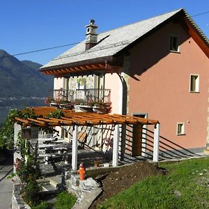 Agriturismo Cantina Carrara Apartment Gordola Exterior photo