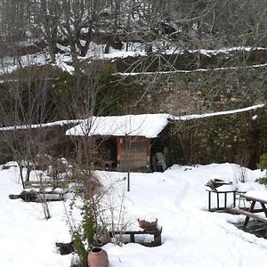 El Taller De La Seda Guest House Avedillo de Sanabria Exterior photo