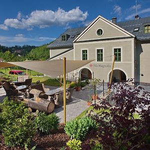 Vila Magnolia Hotel Banska Stiavnica Exterior photo