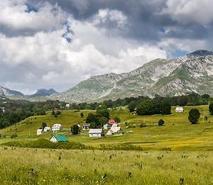 Eco Village Highlander Zabljak  Exterior photo