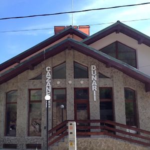 Pensiunea Cazanele Dunarii Hotel Dubova Exterior photo