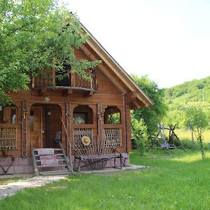 Saduba Kozatska Detsa Villa Zhdeniievo Room photo